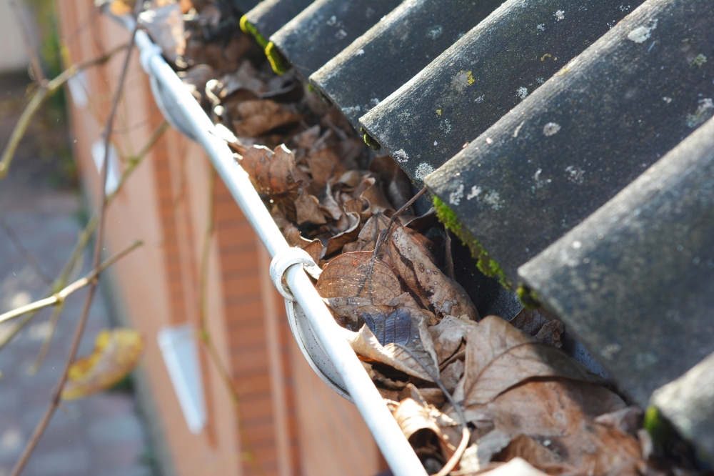 The Hidden Dangers of Clogged Gutters: Protecting Your Walnut Creek Home from Costly Damage