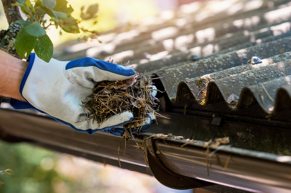 Gutter Cleaning