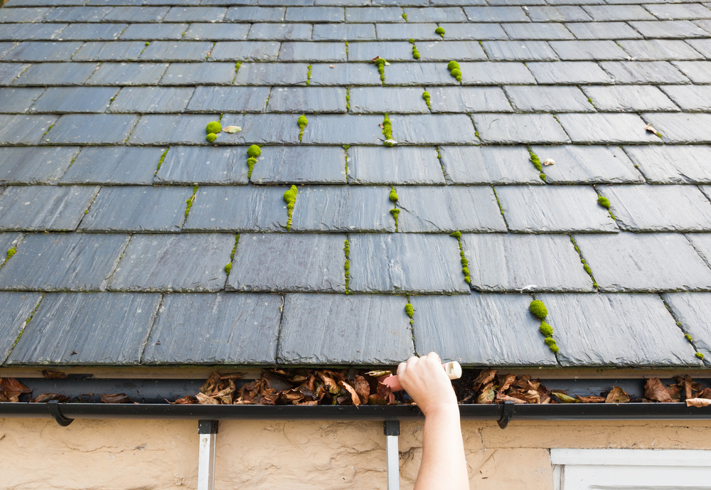 DIY vs. Professional Gutter Cleaning: Why Safety and Precision Matter