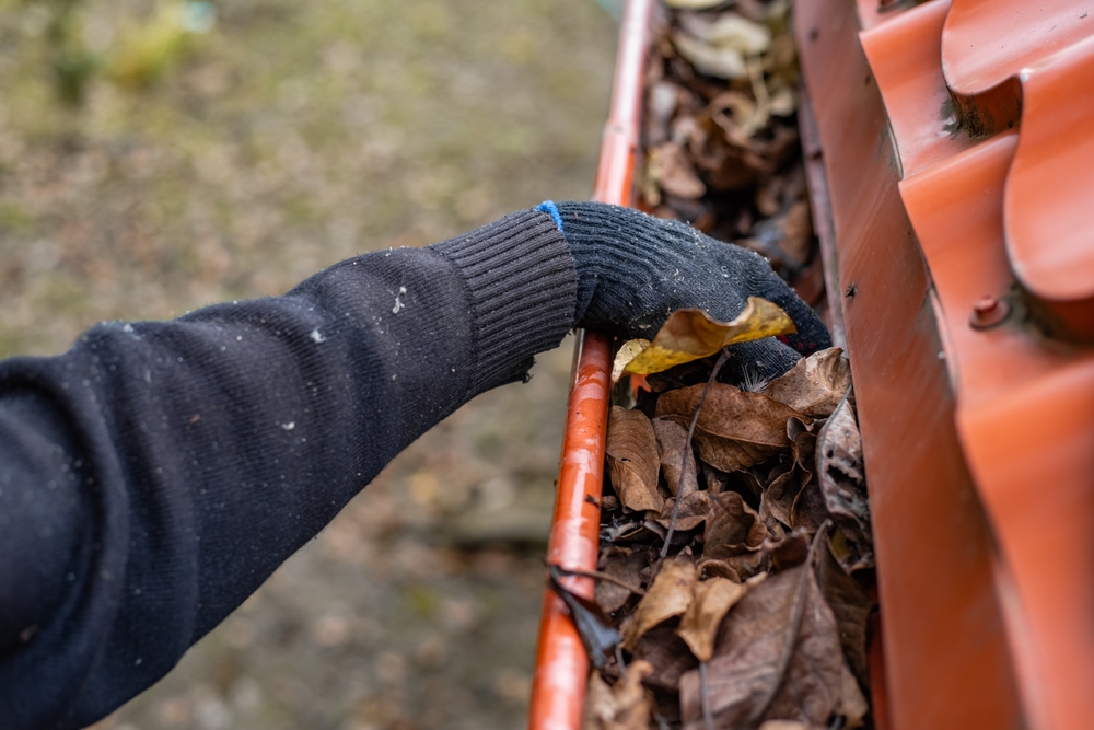 The Best Time of Year for Gutter Cleaning in Pleasanton, CA: A Seasonal Guide for Homeowners & Property Managers