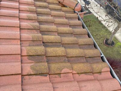 Guttercleaningbefore