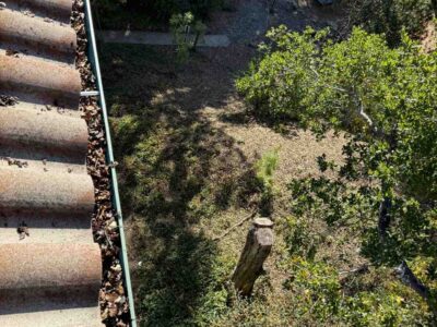 Photosep21202561708pm