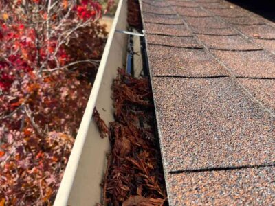 Photosep21202561709pm1