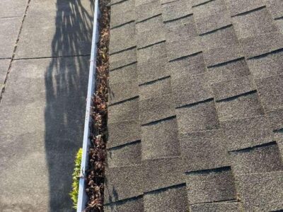 Photosep21202561722pm11