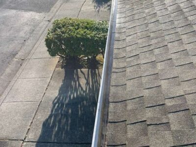 Photosep21202561722pm2