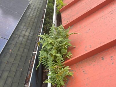 Photosep21202561723pm