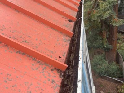 Photosep21202561723pm1