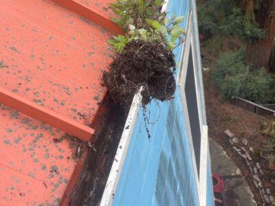 Photosep21202561724pm