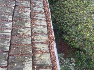 Photosep21202561724pm1