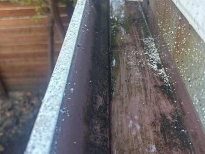 Photosep21202561725pm