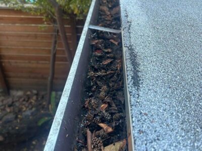 Photosep21202561726pm11