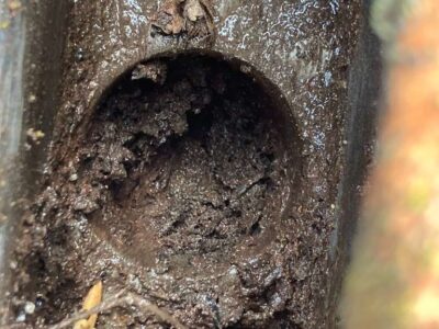 Photosep21202561726pm4