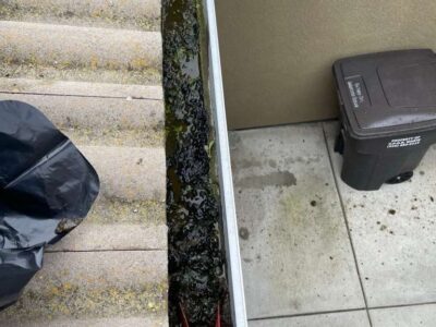 Photosep21202561727pm2