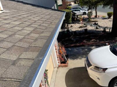 Photosep252025104417am1