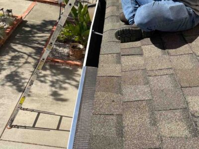 Photosep252025104417am2