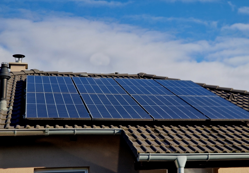 Bird Proofing Your Solar Panels