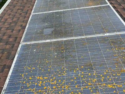 Solarpanelcleaningbefore6